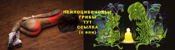 бошки Балахна