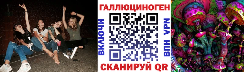 hydra сайт  Сегежа  Псилоцибиновые грибы Cubensis  купить закладку 